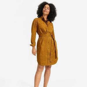Everlane Modern Utility Shirtdress